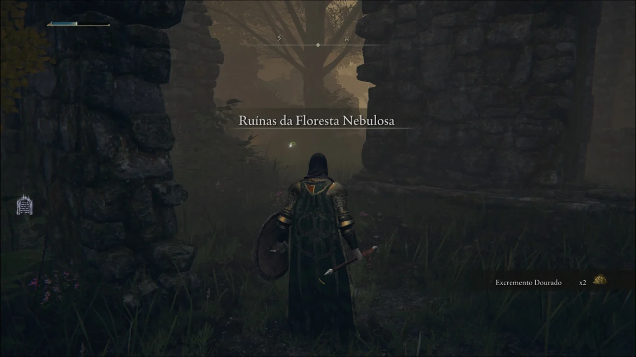 ELDEN RING - RUÍNAS DA FLORESTA NEBULOSA