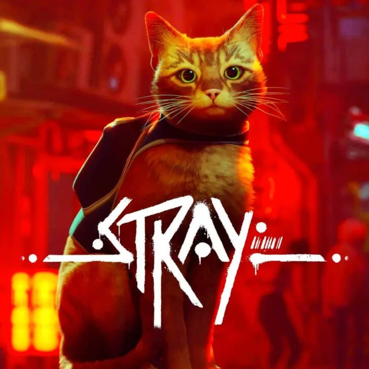 Stray - Cover