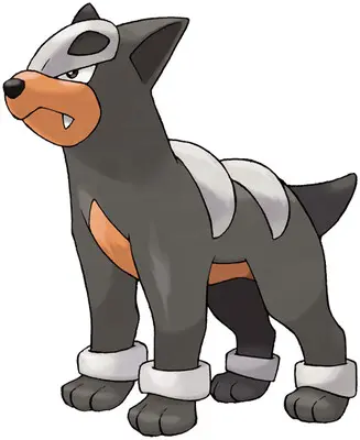 POKÉMON SCARLET / VIOLET - HOUNDOUR