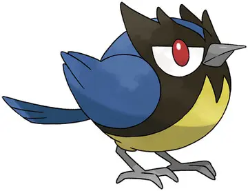 POKÉMON SCARLET / VIOLET - ROOKIDEE