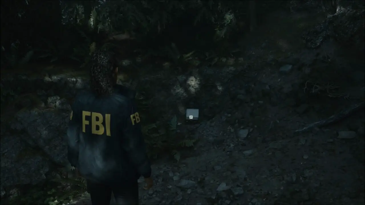ALAN WAKE 2 - LANCHEIRA 2 / 43