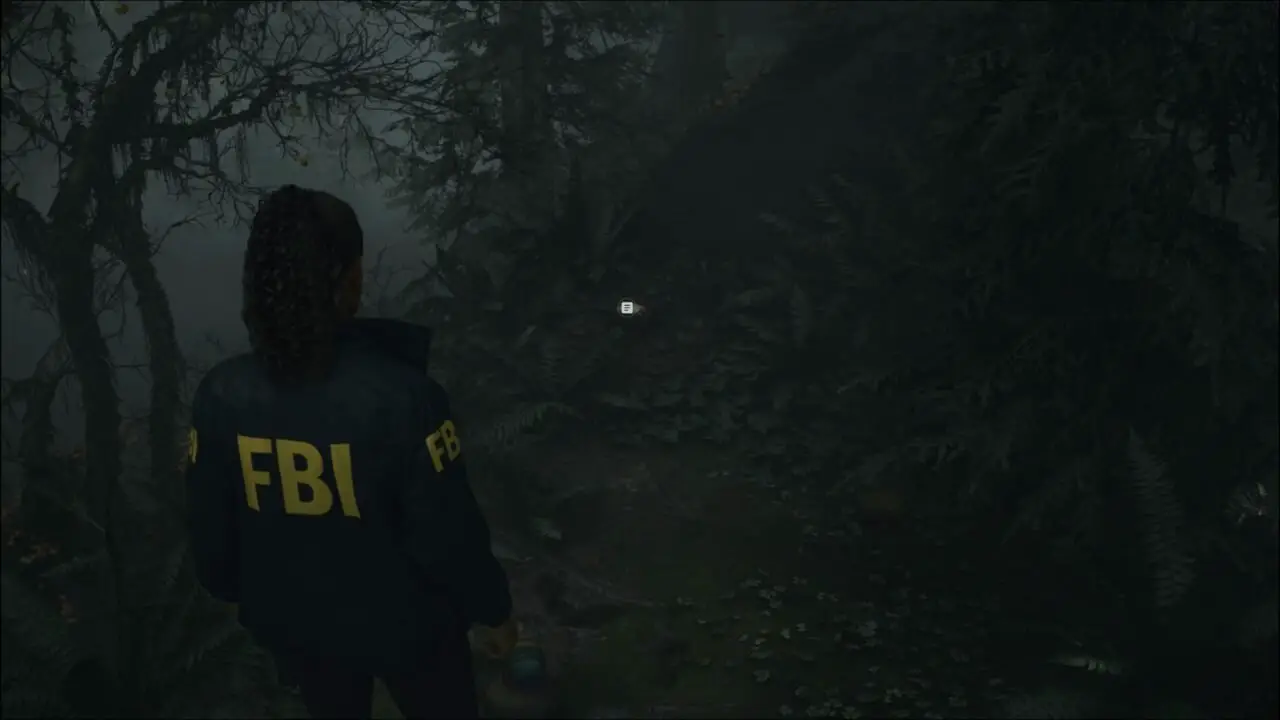 ALAN WAKE 2 - LANCHEIRA 5 / 43