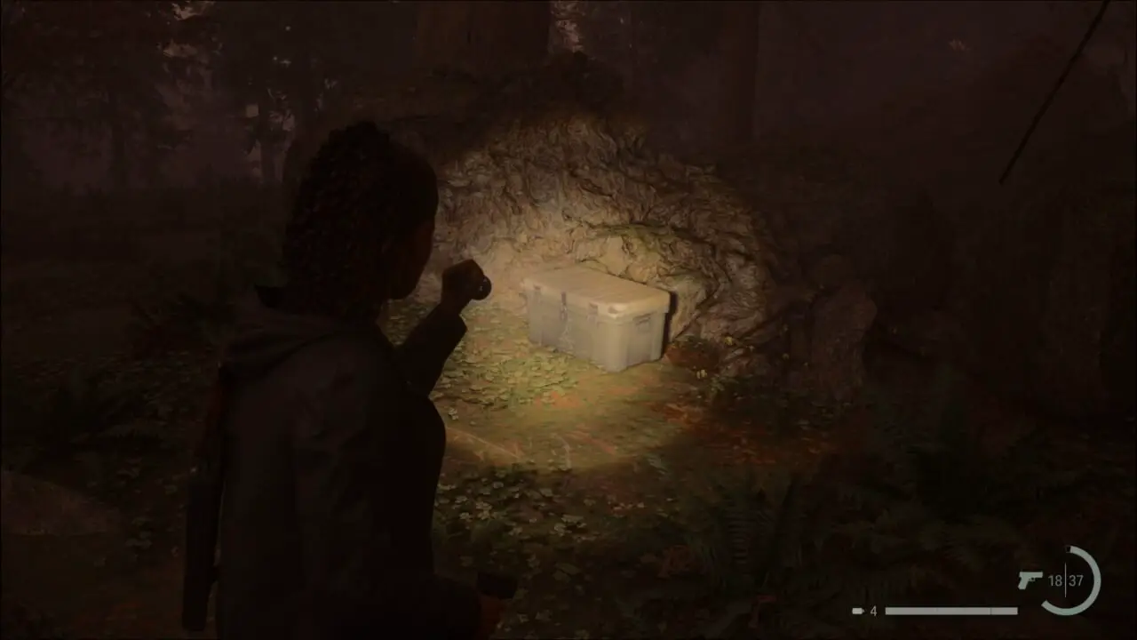 ALAN WAKE 2 - CAIXA DA SEITA BRIGHT FALLS 1/9