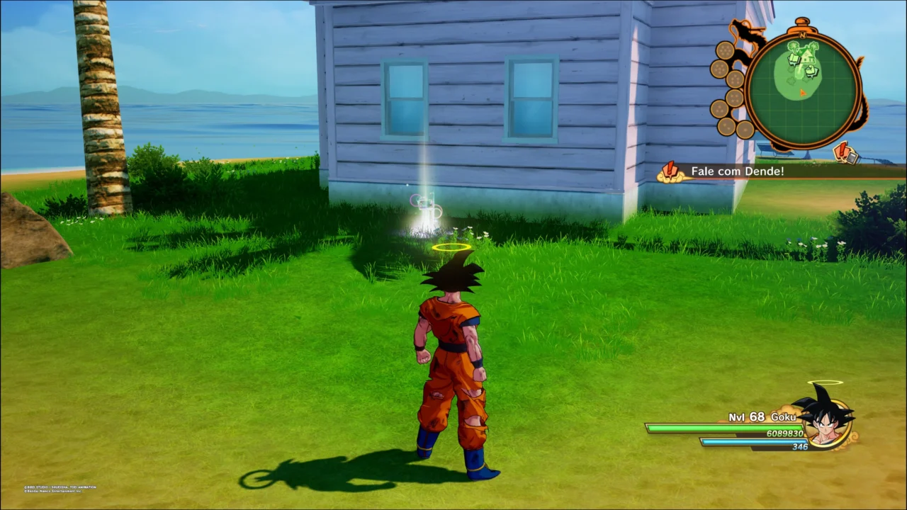 DRAGON BALL Z KAKAROT - VIDENTE METICULOSA